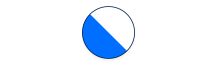 Roundshield Wappen ZH Mobile