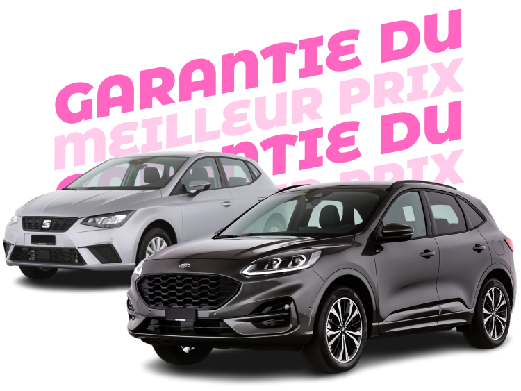 Bestpreis LP BANNER Ibiza kuga FR v2