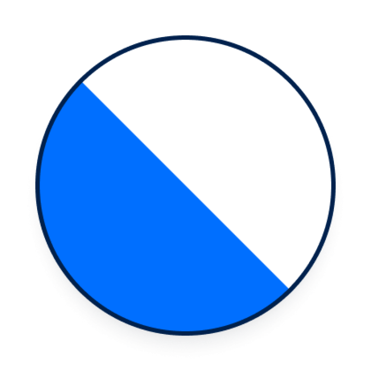 Roundshield Wappen ZH