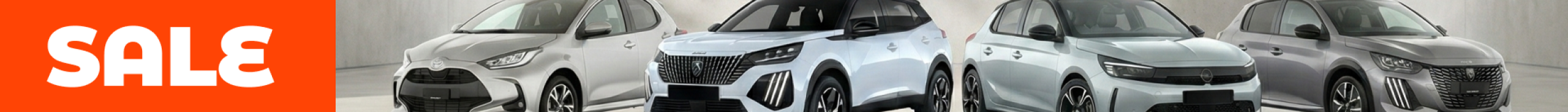 Sale Jan25 Header Small Desktop