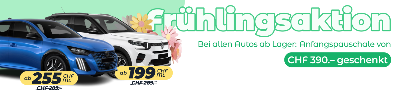 Fruhlinsaktion Banner Mobile DE