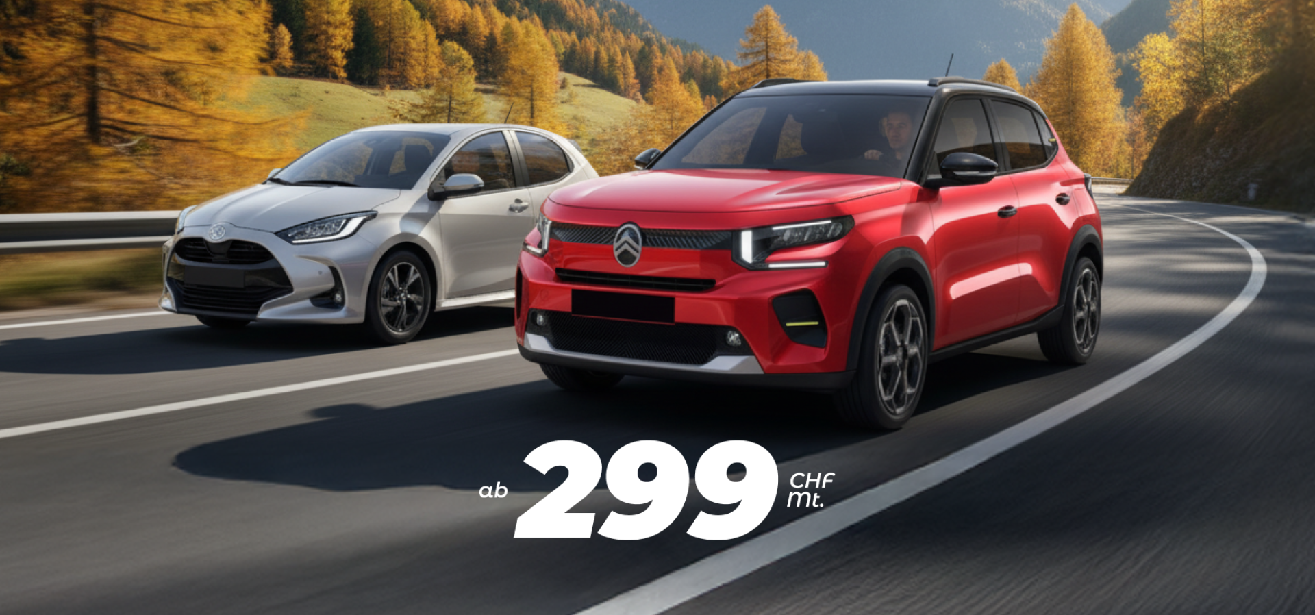 Sale Banner 299 Header Image Desktop DE