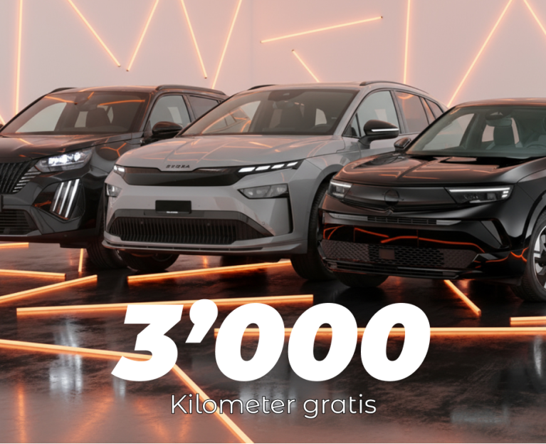 Elektro Sale Header Image Desktop DE