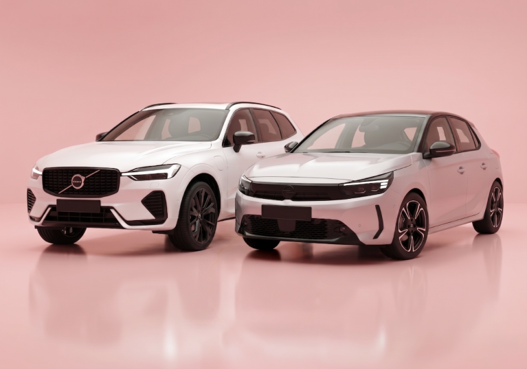 Leasing Kosten Pink