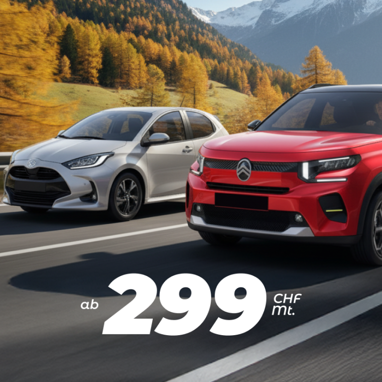 Sale Banner 299 Header Image Desktop DE