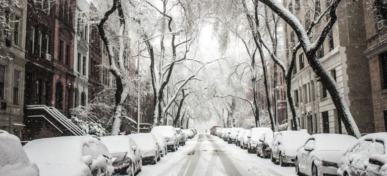 Trees and cars covered by snow 512229