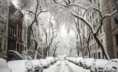 Trees and cars covered by snow 512229